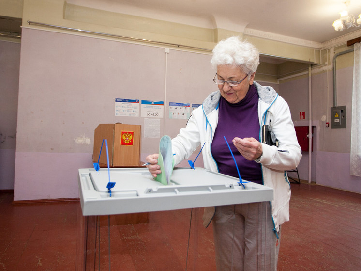 В 11 муниципалитетах Псковской области назначены выборы в органы местного самоуправления