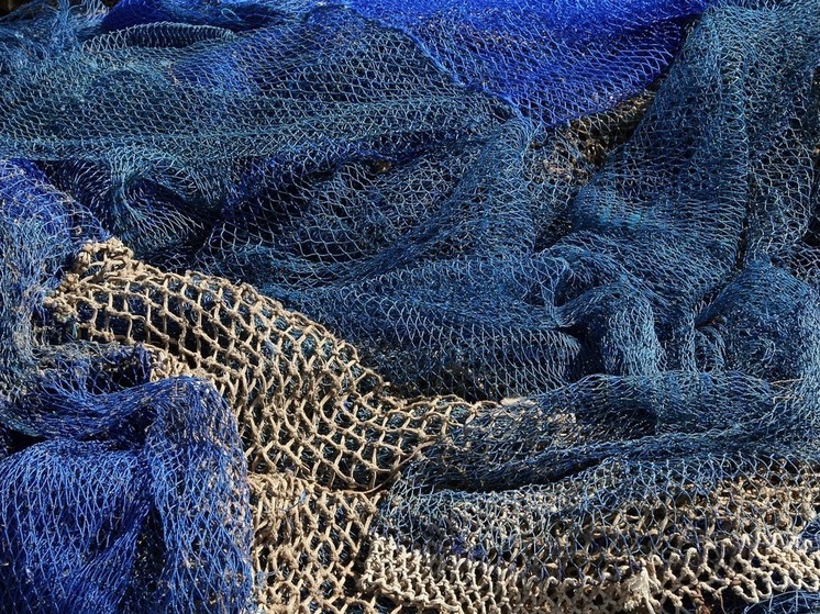 Прокуратура Карелии забрала у браконьеров более 700 рыболовных сетей