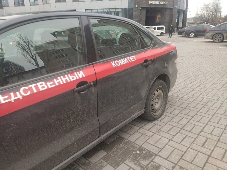 В Ростовской области по факту смерти двух детей проводят проверку
