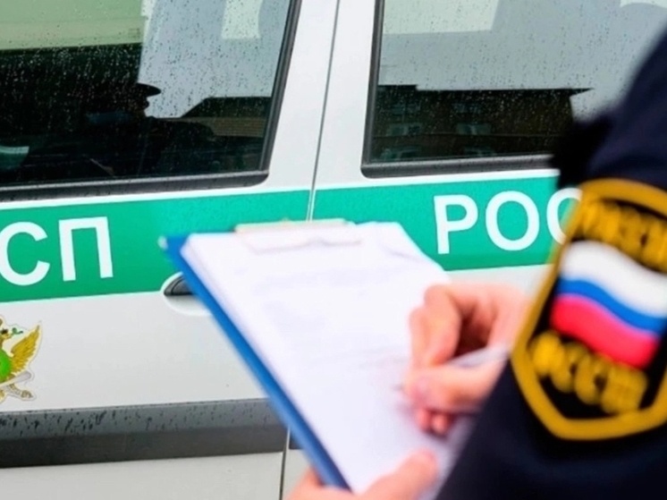 Житель Чаплыгинского района накопил свыше 60 неоплаченных штрафов