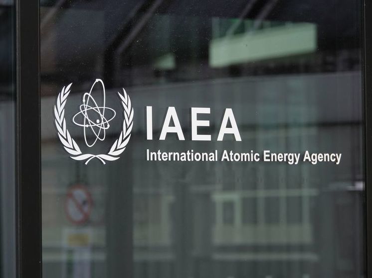 МАГАТЭ объяснило перевозку Киевом топлива с Ровенской АЭС в Чернобыль