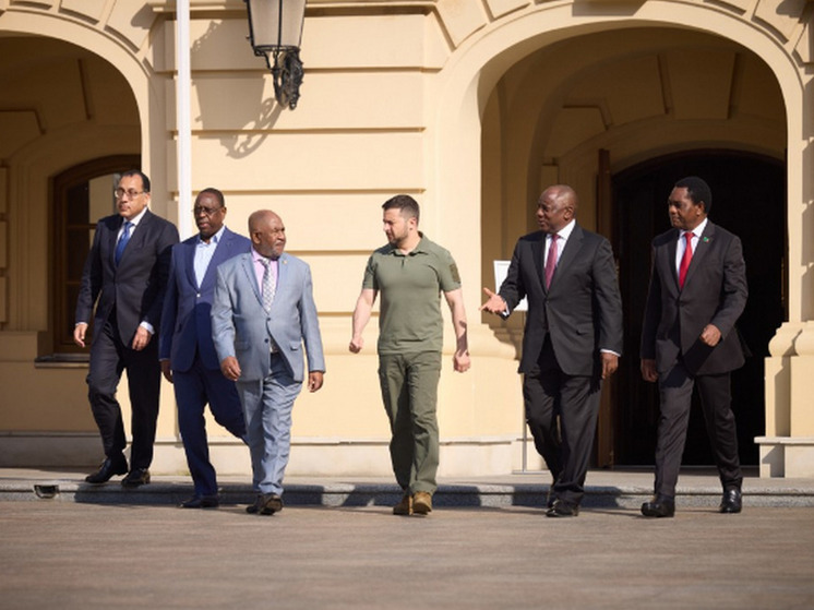 Кулеба назвал встречу с лидерами африканских стран в Киеве "жесткой"