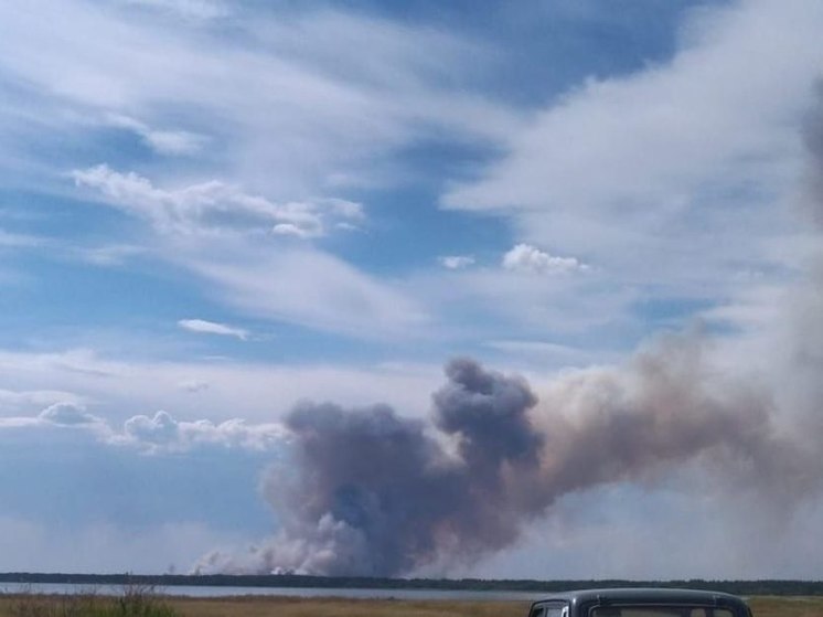 В Егорьевском районе площадь пожара выросла в два раза за ночь