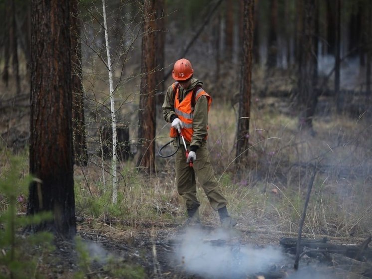 В Приангарье за сутки ликвидировали три лесных пожара