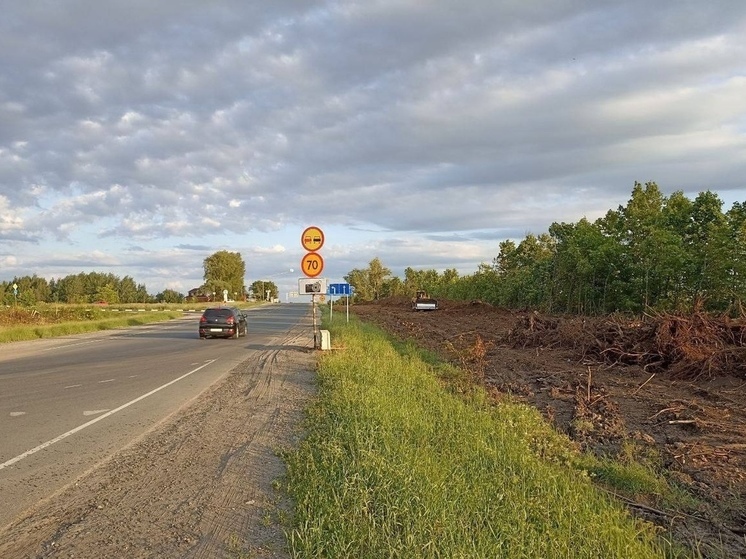 На Суздальской трассе вырубают деревья