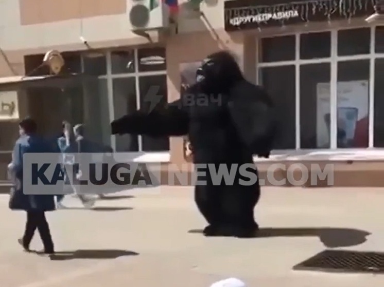 В центре Калуги аниматор в костюме огромной гориллы напугал пожилую женщину