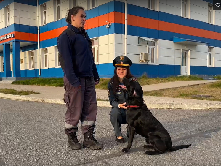 Мурманчанам показали четверолапого помощника МЧС