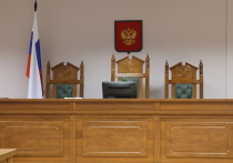 Химкинский городской суд приговорил к 6 годам колонии-поселения пилота в московском аэропорту Шереметьево SSJ-100 Дениса Евдокимова