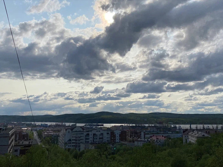 В Мончегорске пресекли деятельность наркопритона