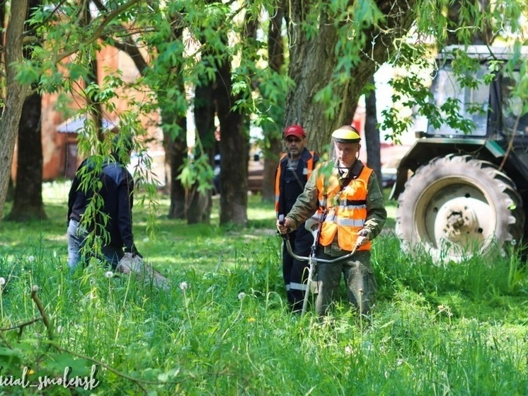 В Смоленске Зеленстрой ведёт поиск новых сотрудников