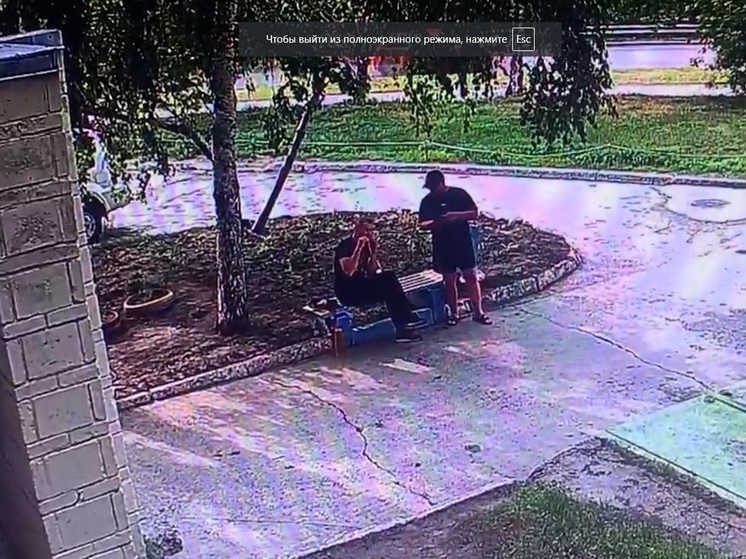 В Новосибирске пьяные мужчины разбили голову парню с нашивкой Z