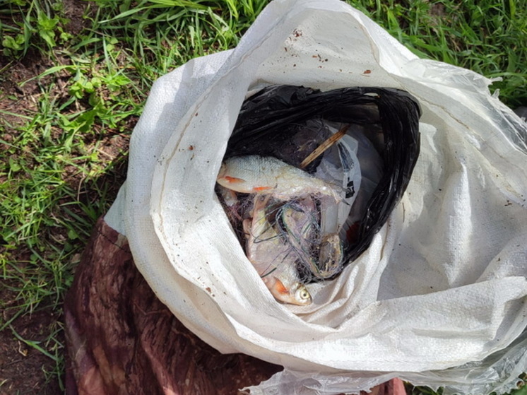 Житель Чувашии незаконно наловил рыбы на 144 тысячи рублей