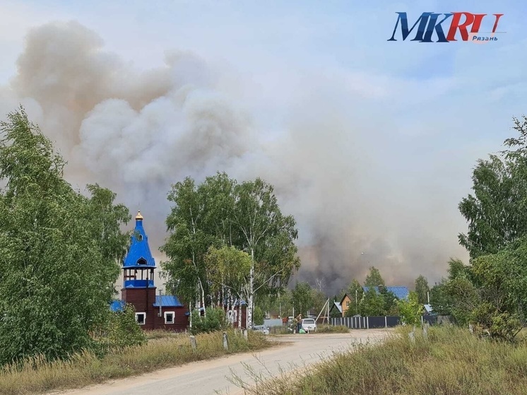 Карта платного моста рязань
