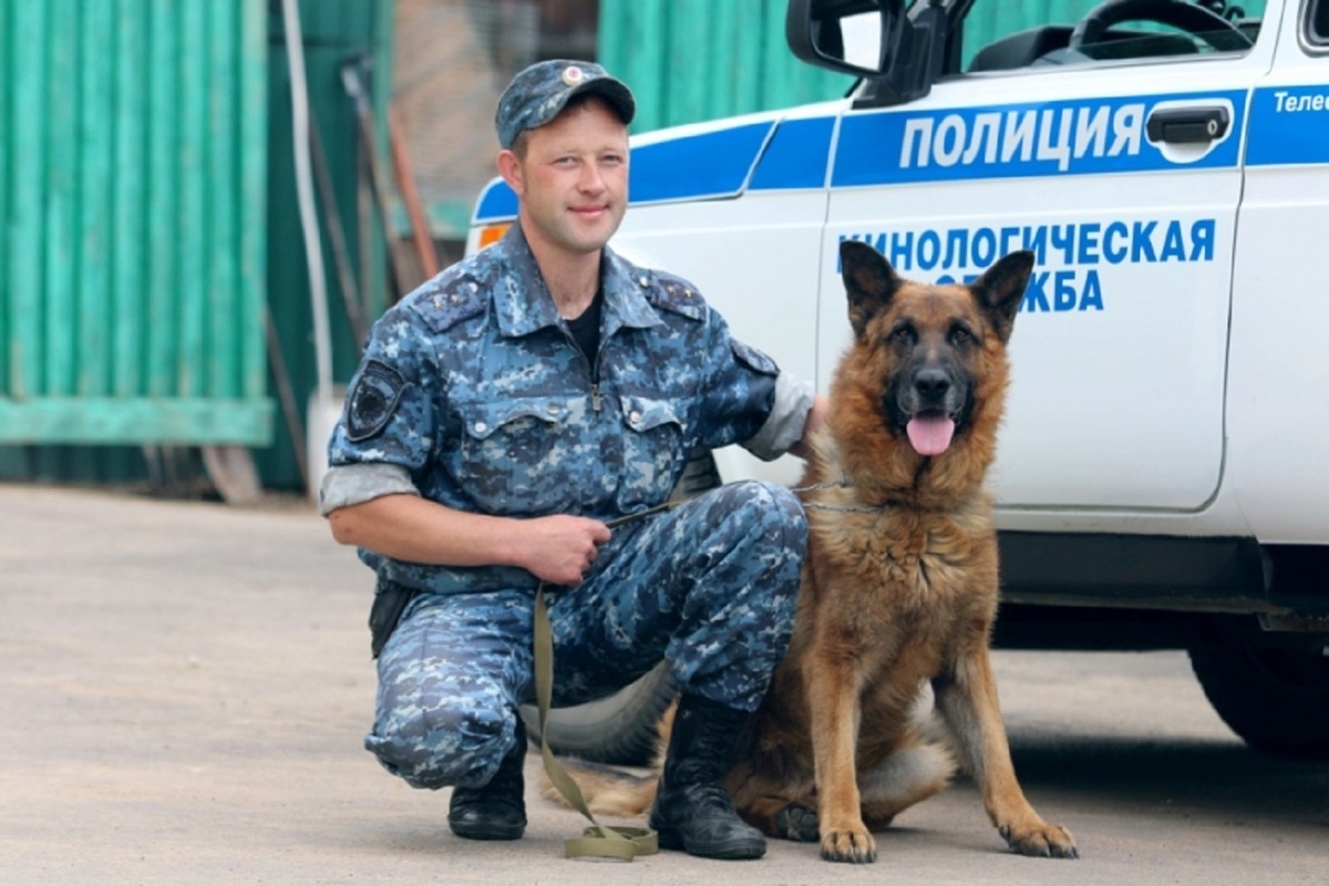 21 июня - День создания кинологических подразделений в системе МВД России -  МК Владимир