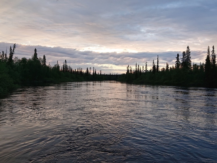 Жителей Мурманской области предупредили об опасности купания