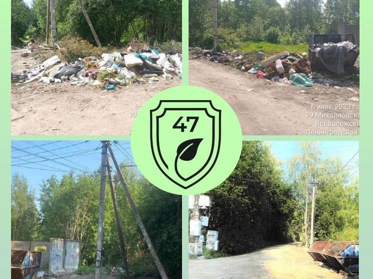 Во Всеволожске перекресток двух улиц очистили от свалки