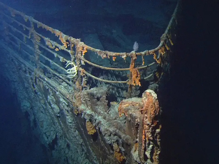Океанолог Мухаметов назвал невозможным спасение на глубине экипажа пропавшего батискафа