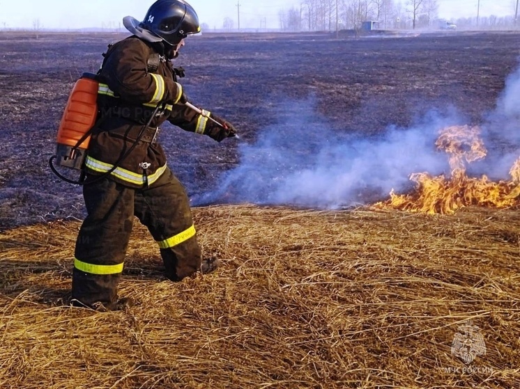 Ярославских грибников просят соблюдать меры противопожарной безопасности