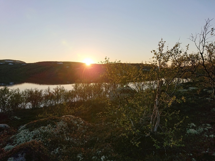 В Мурманской области ожидается пятый класс пожарной опасности