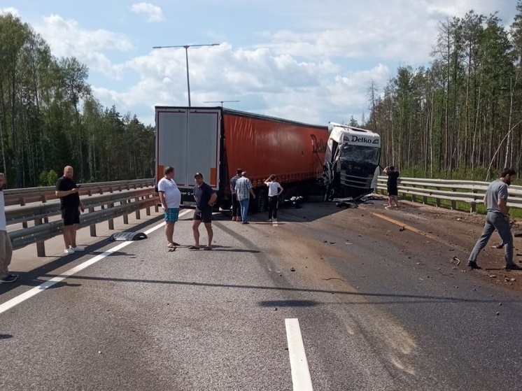 Авария грузовиков на участке трассы М-11 в петербургском направлении перекрыла движение