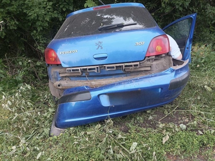 В Воронежской области водитель иномарки после столкновения с деревом оказался в больнице
