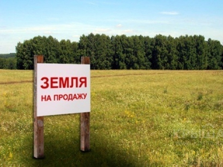 Власти Карелии выделили отелю в Приладожье более 3 га земли без торгов