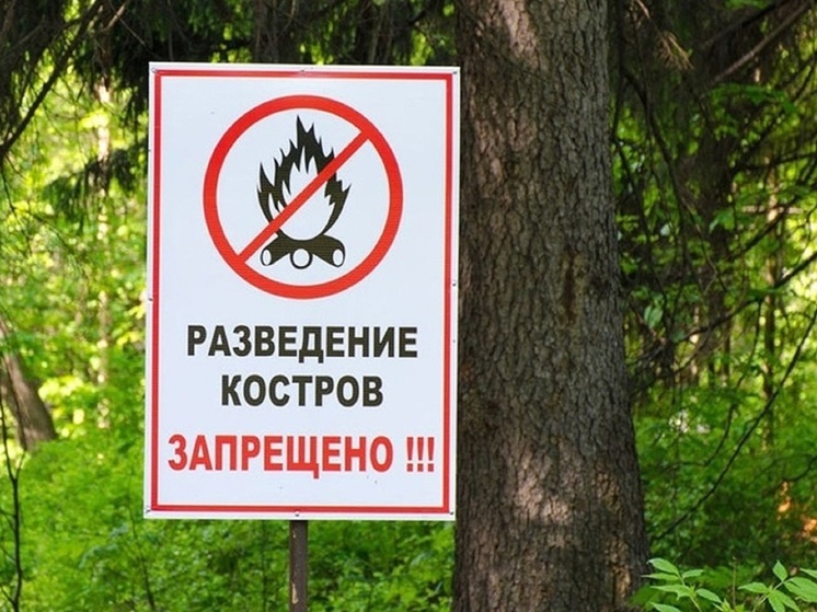 До конца августа в Тверской области введен особый противопожарный режим