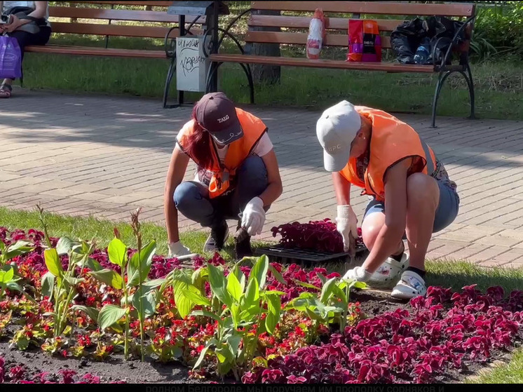 На центральных улицах Белгорода продолжают высаживать цветы