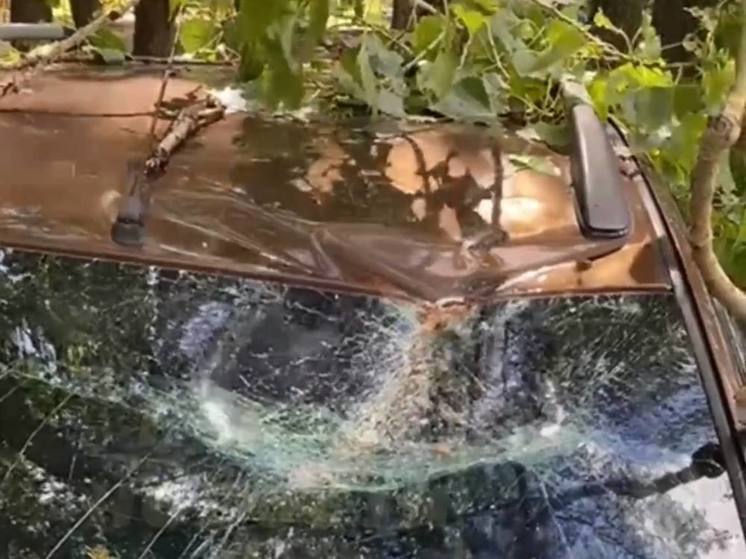 Упало дерево на машину иск образец