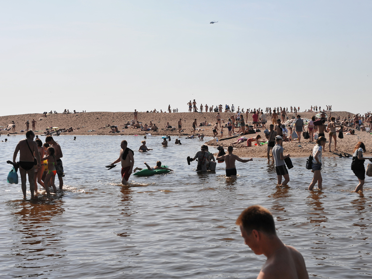 Дизентерия, глисты и лептоспироз: что можно подхватить на 22 пляжах Петербурга
