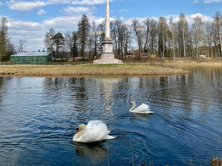 Дело о гибели возлюбленной лебедя Георгия Айседоры приняло криминальный оборот