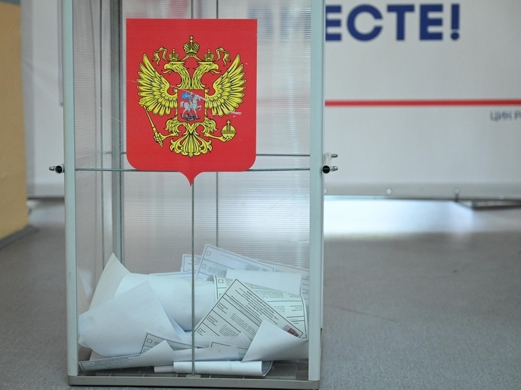 В пяти муниципалитетах Челябинской области пройдут местные выборы