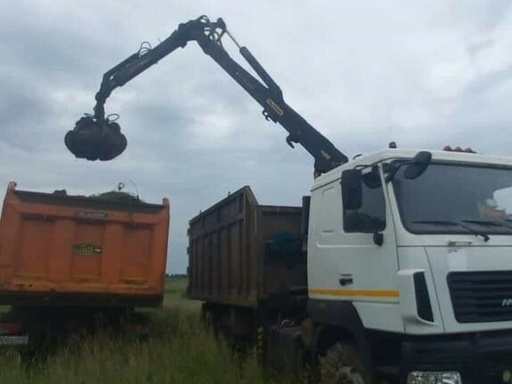 В двух районах Курской области обезвредили 100 тонн просроченных ядохимикатов