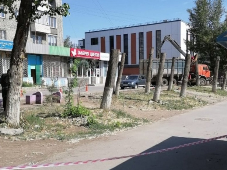 В Новосибирске жители домов на улице Богаткова возмутились вырубкой деревьев