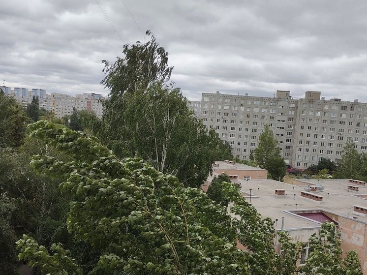 В Омской области ураганный ветер отключил электричество в 104 населенных пунктах