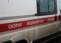 В одном из детских парков Новосибирска мужчина жестоко избил чужого ребенка, с которым поссорился его сын
