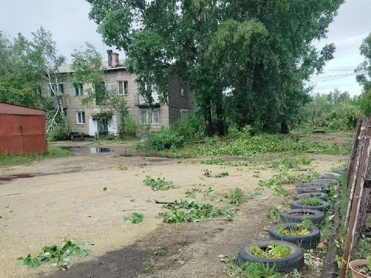 Свет в Мирсаново после урагана могут дать 21 июня, в Шилке ведут работы