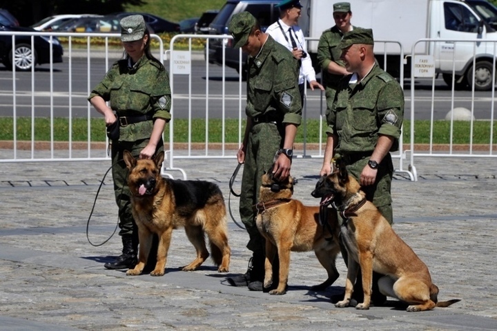 Костромское управление ФСБ набирает желающих служить в пограничной охране