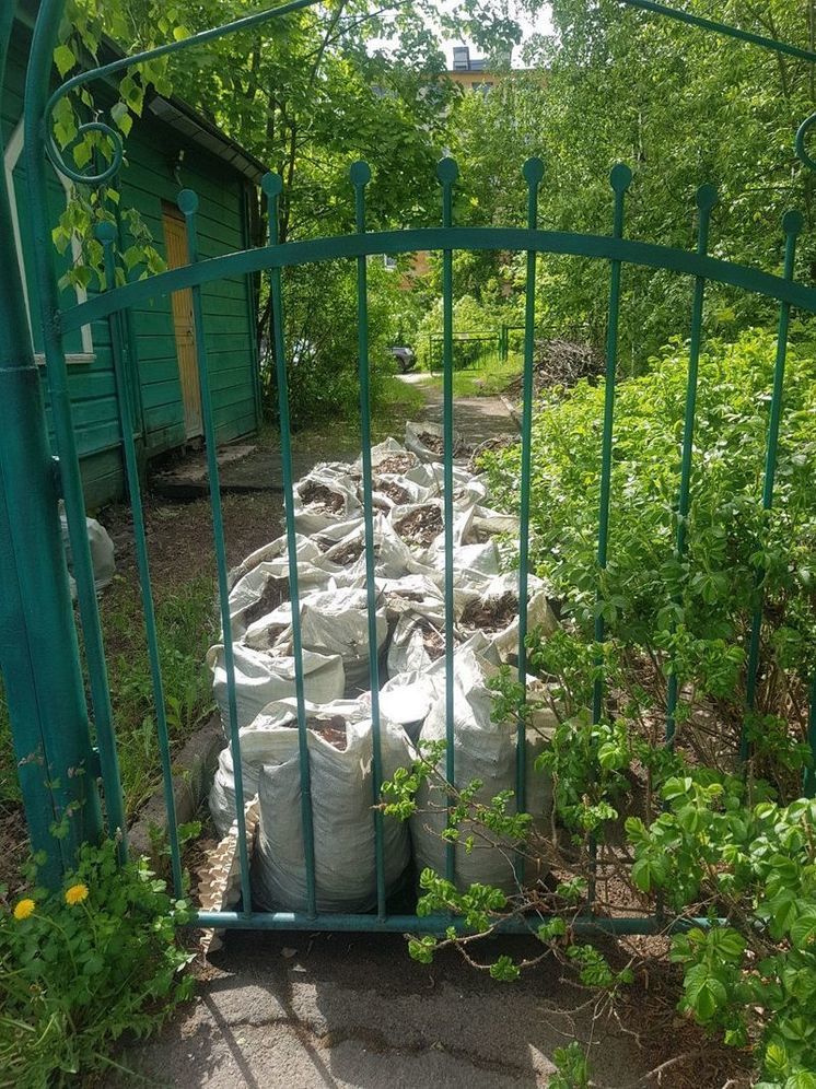 Власти Петрозаводска нашли того, кто вывезет собранный месяц назад волонтерами мусор у исторического здания