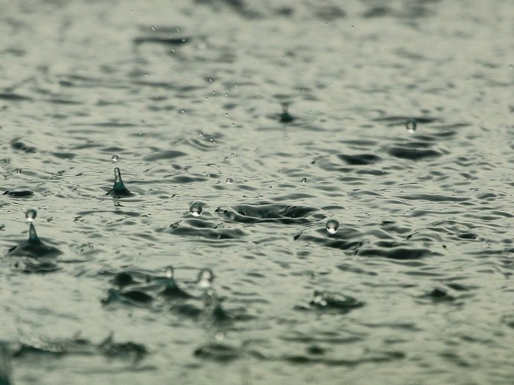 Метеоролог Позднякова сообщила о "погодных опасностях" 23 июня: дождь, гроза, ветер