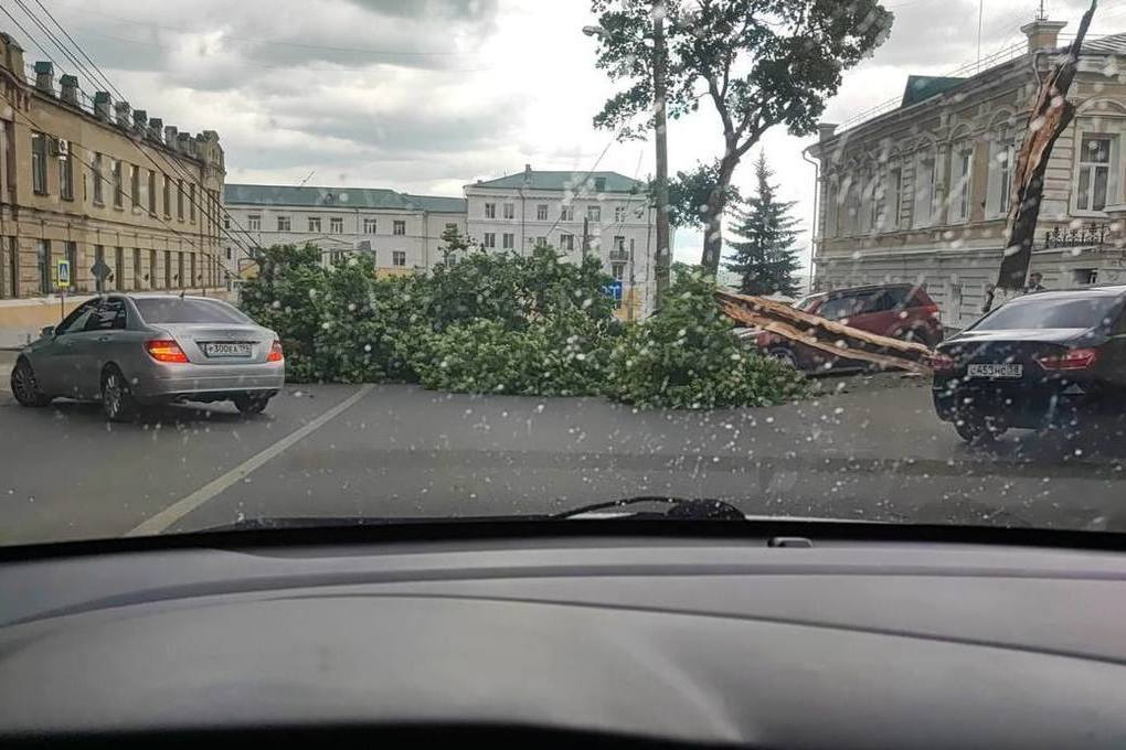 Пензенца ударило током при падении дерева на улице Лермонтова