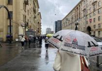В Петербурге ожидается ухудшение погодных условий. Об этом сообщили в пресс-службе главного управления МЧС России по городу на Неве.