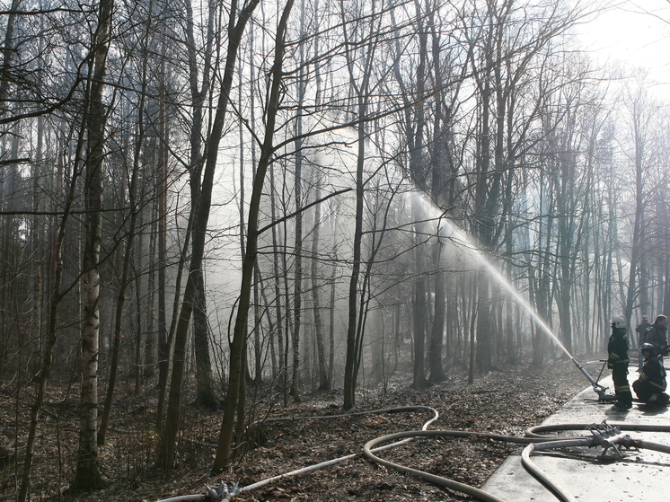В Парфинском районе потушили лесной пожар площадью 8 гектаров