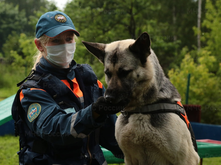 День кинолога сегодня отмечают по всей стране