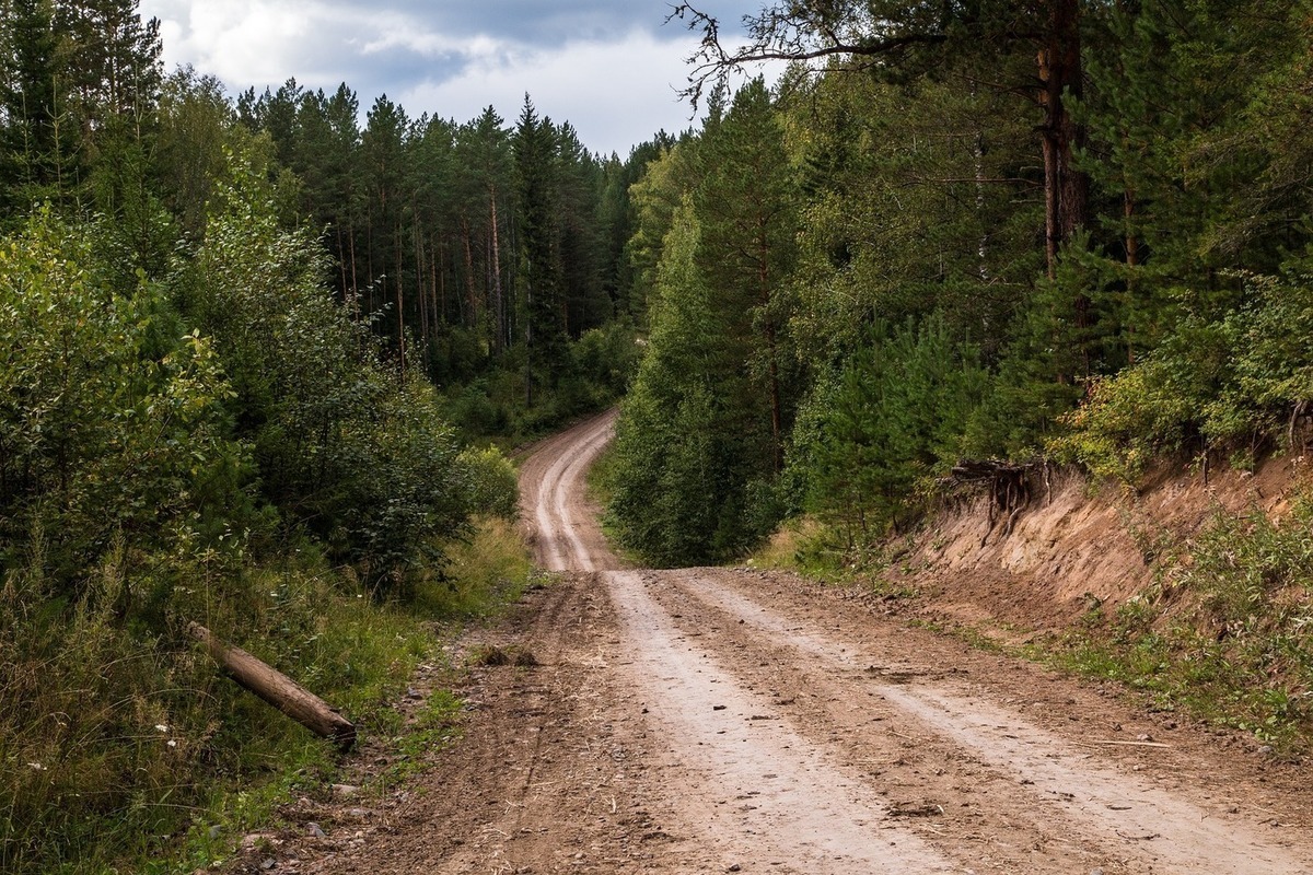 Грунтовая дорога проходит. Лесная дорога. Дорога в лесу. Лесные дороги. Дорога в тайге.