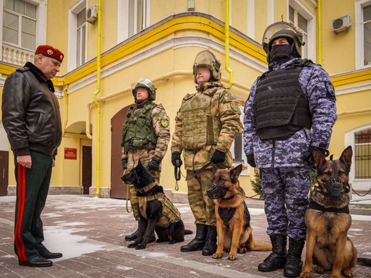 Новгородцам рассказали о подвигах служебных собак в зоне СВО