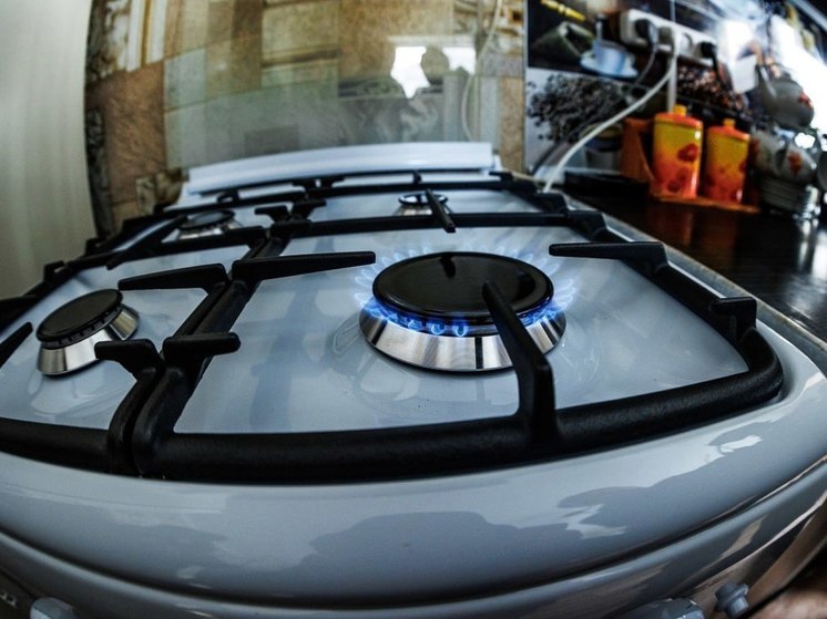 Южноуральцы могут сэкономить на газе во время отпуска