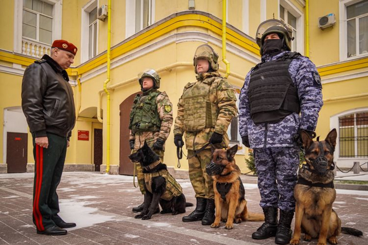 Новгородцам рассказали о подвигах служебных собак в зоне СВО - МК Великий  Новгород