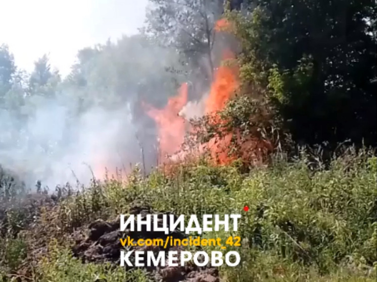 Огонь охватил лес в городе Кемерово