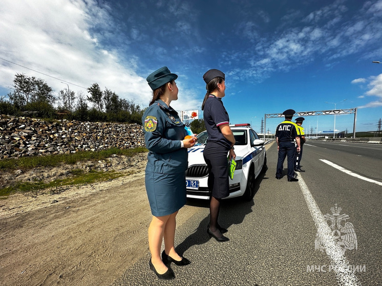 МЧС Мурманской области провело акцию «Безопасная дорога в отпуск»